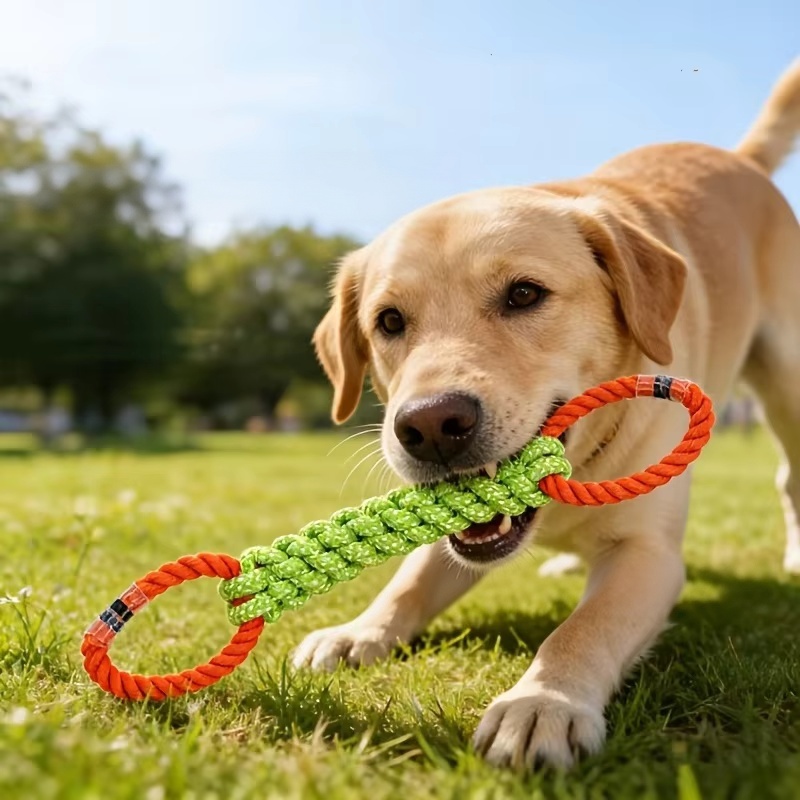 Giocattolo per Cani in Corda d - Corn Dog Stick recensione e prezzo